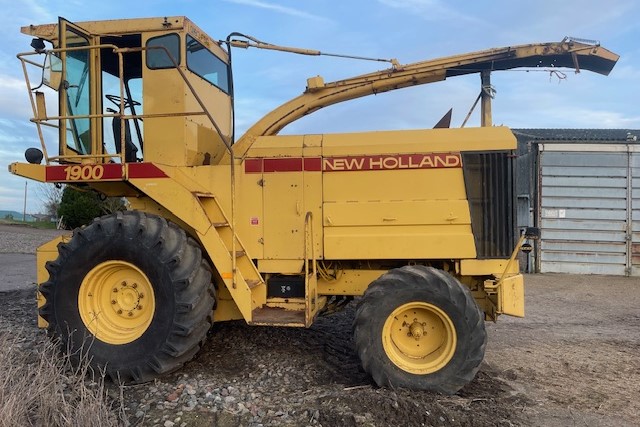 1900 Forage